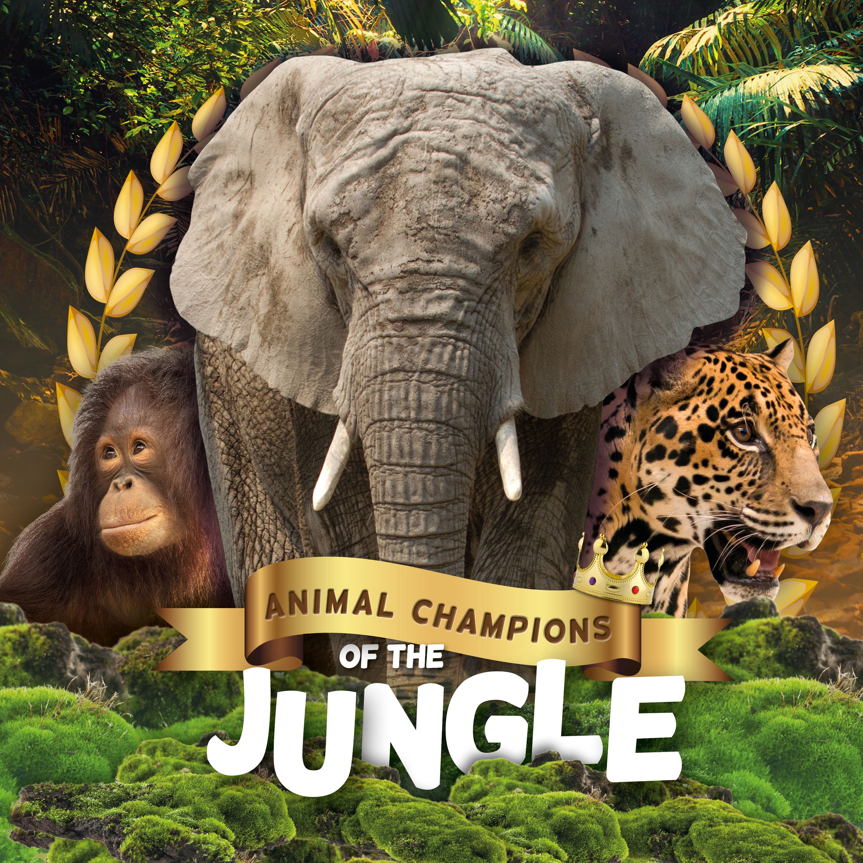 Jungle By Mignonne Gunasekara 9781839274497 (Hardback)