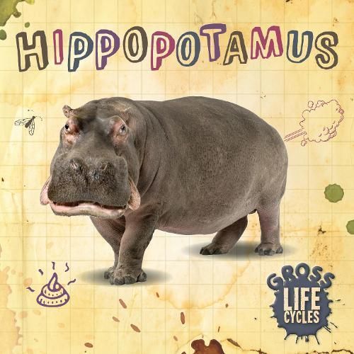 Hippopotamus By William Anthony 9781839274794 (Hardback)