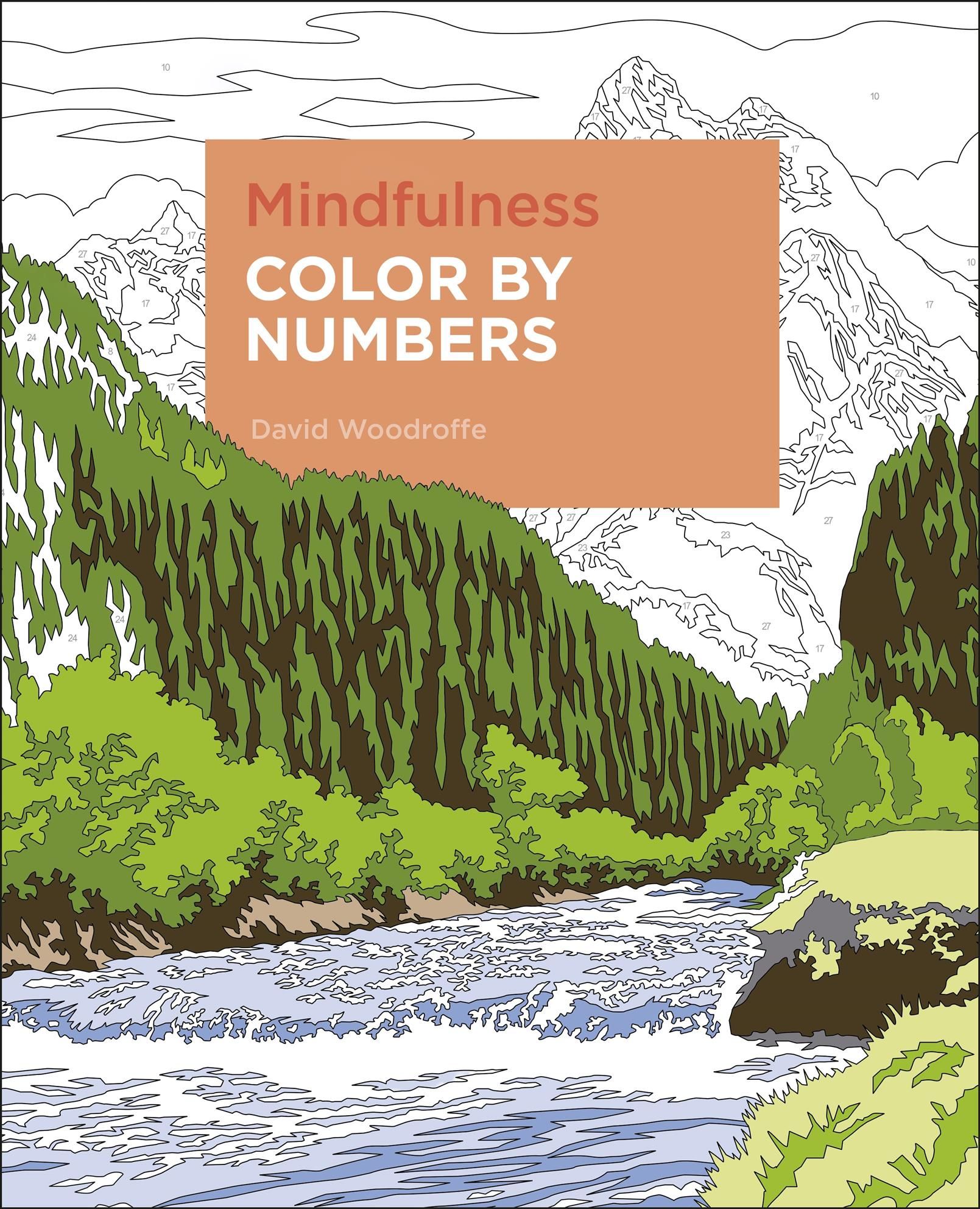 Mindfulness Color by Numbers By David Woodroffe 9781839406669