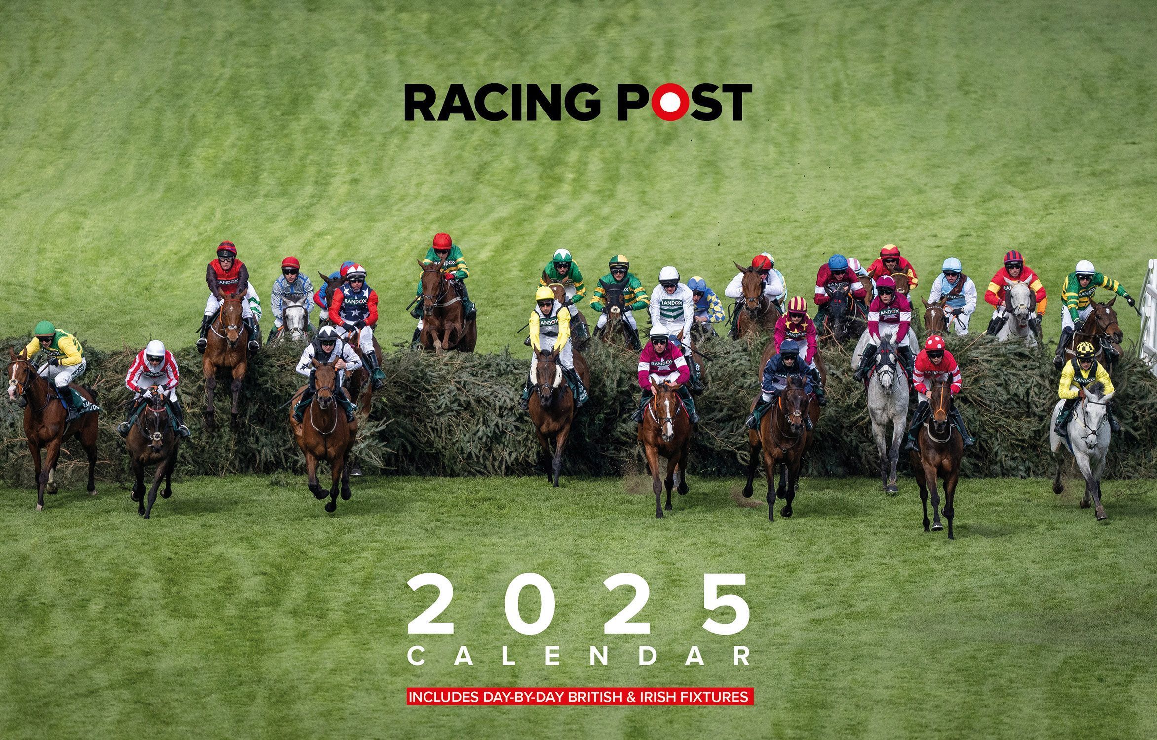 Racing Post Desk Calendar 2025 By David Dew 9781839501555 (Calendar)