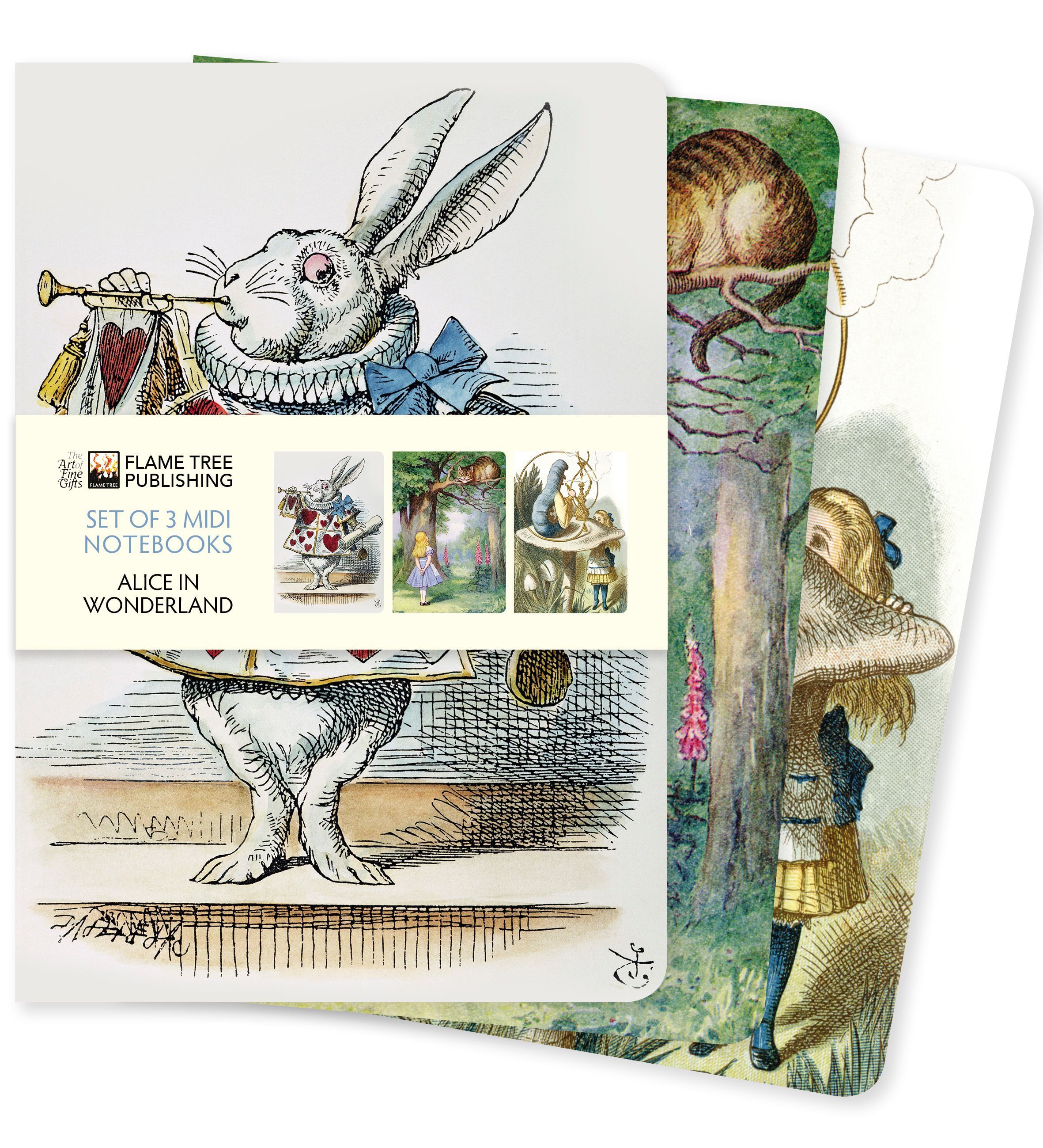 Alice in Wonderland Set of 3 Midi Notebooks By Flame Tree Studio