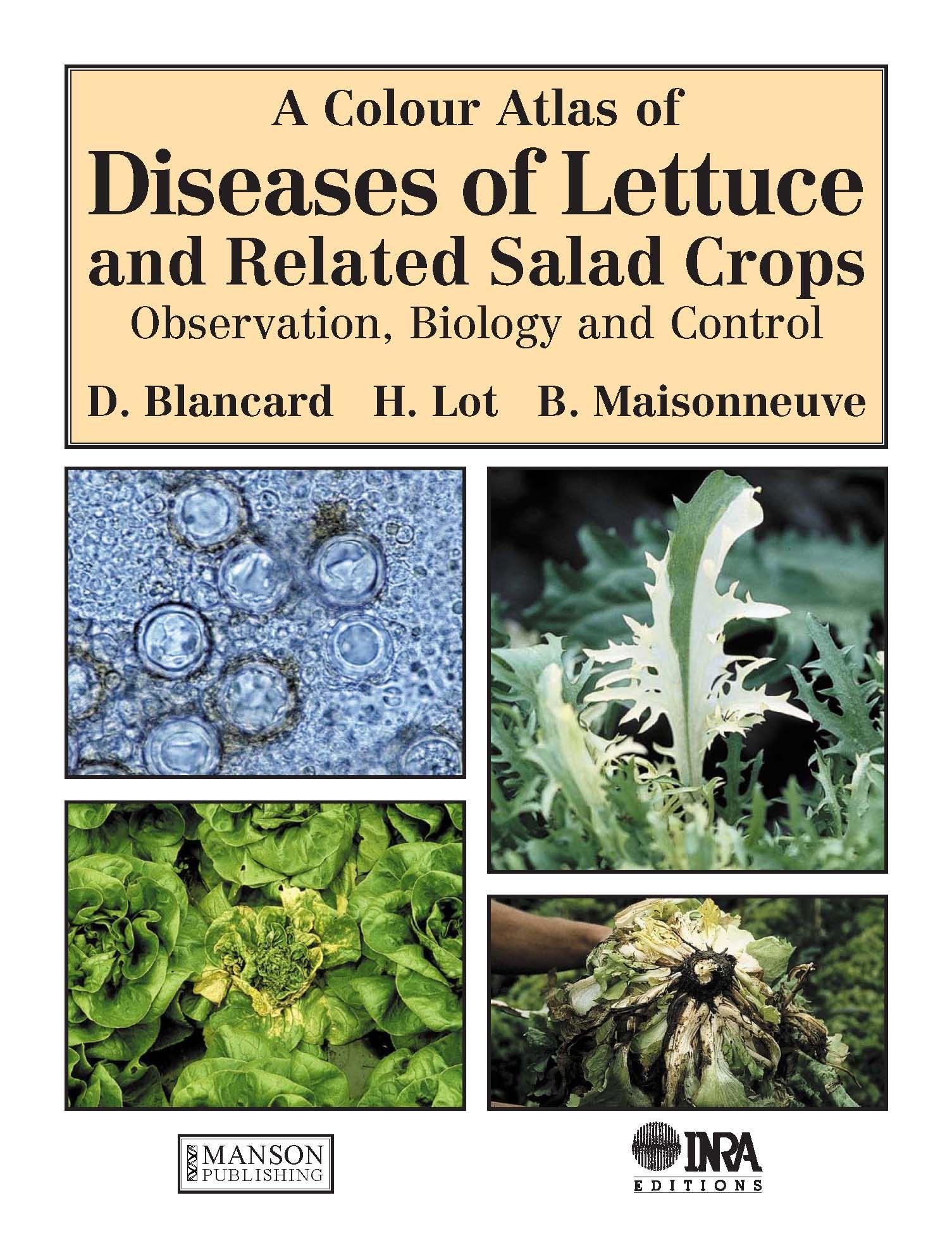 Diseases of Lettuce and Related Salad Crops By D. Blancard (Hardback)