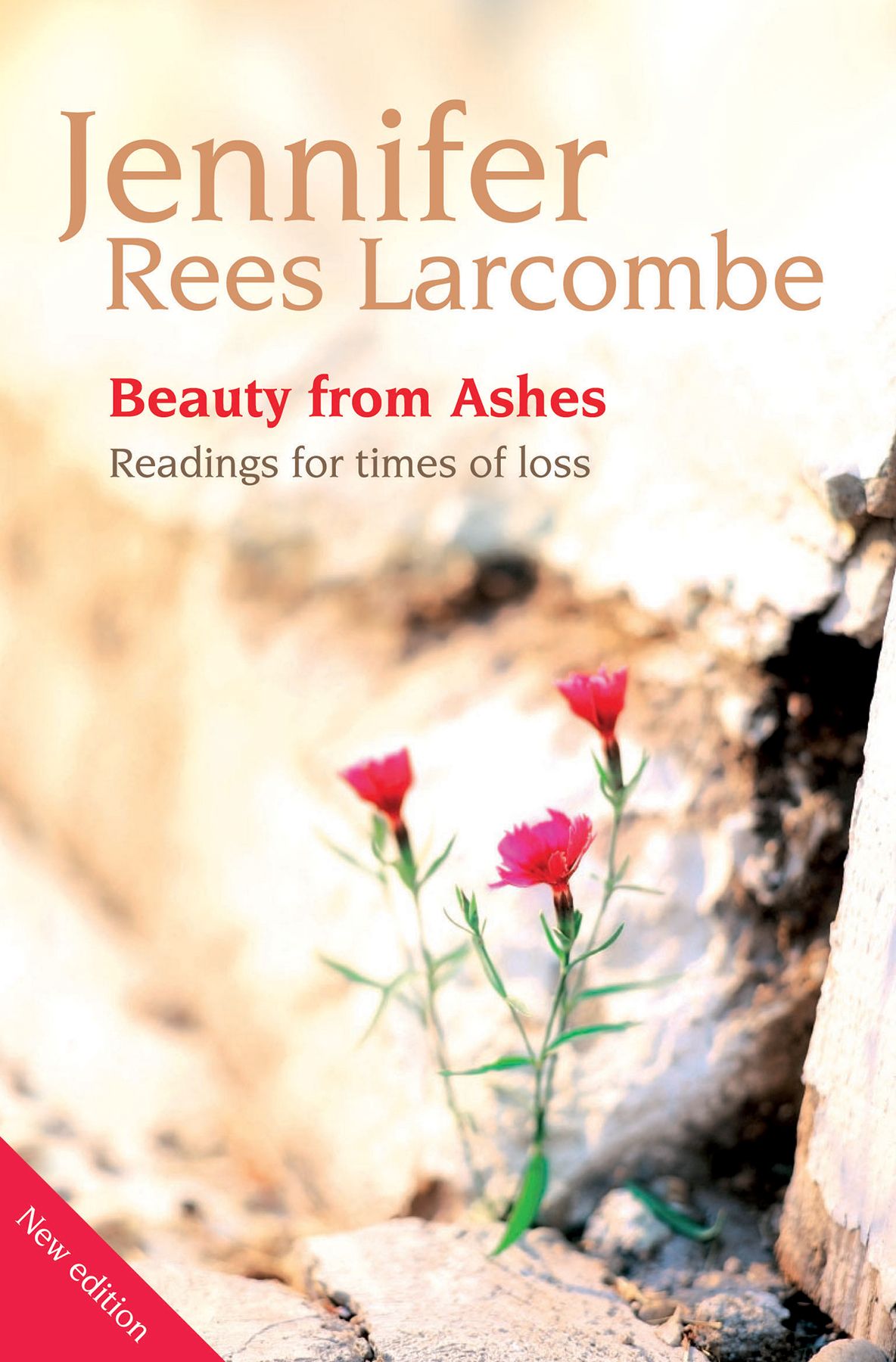 Beauty from Ashes By Jennifer Rees Larcombe 9781841017440 (Paperback)