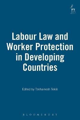 Labour Law and Worker Protection in Developing Countries 9781841138879