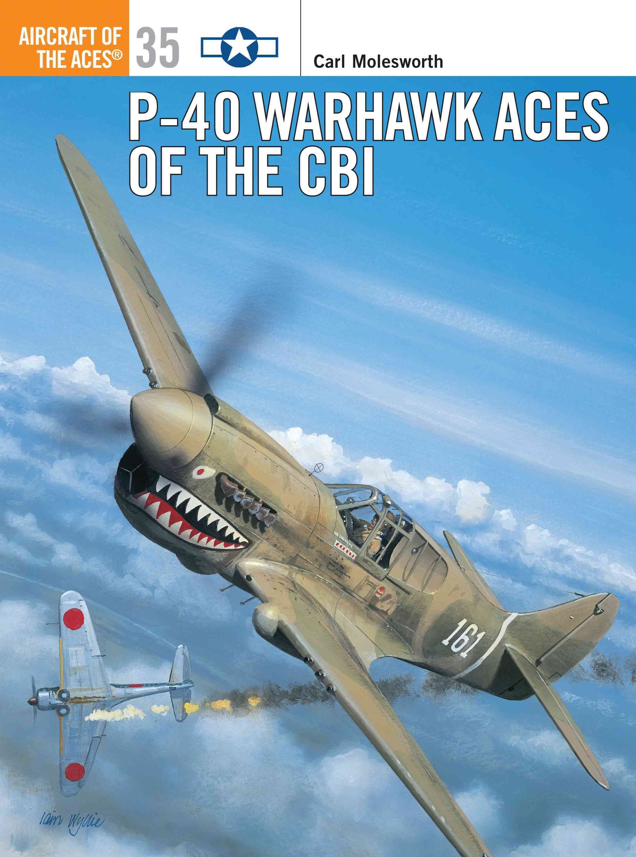 P-40 Warhawk Aces of the CBI By Carl Molesworth 9781841760797