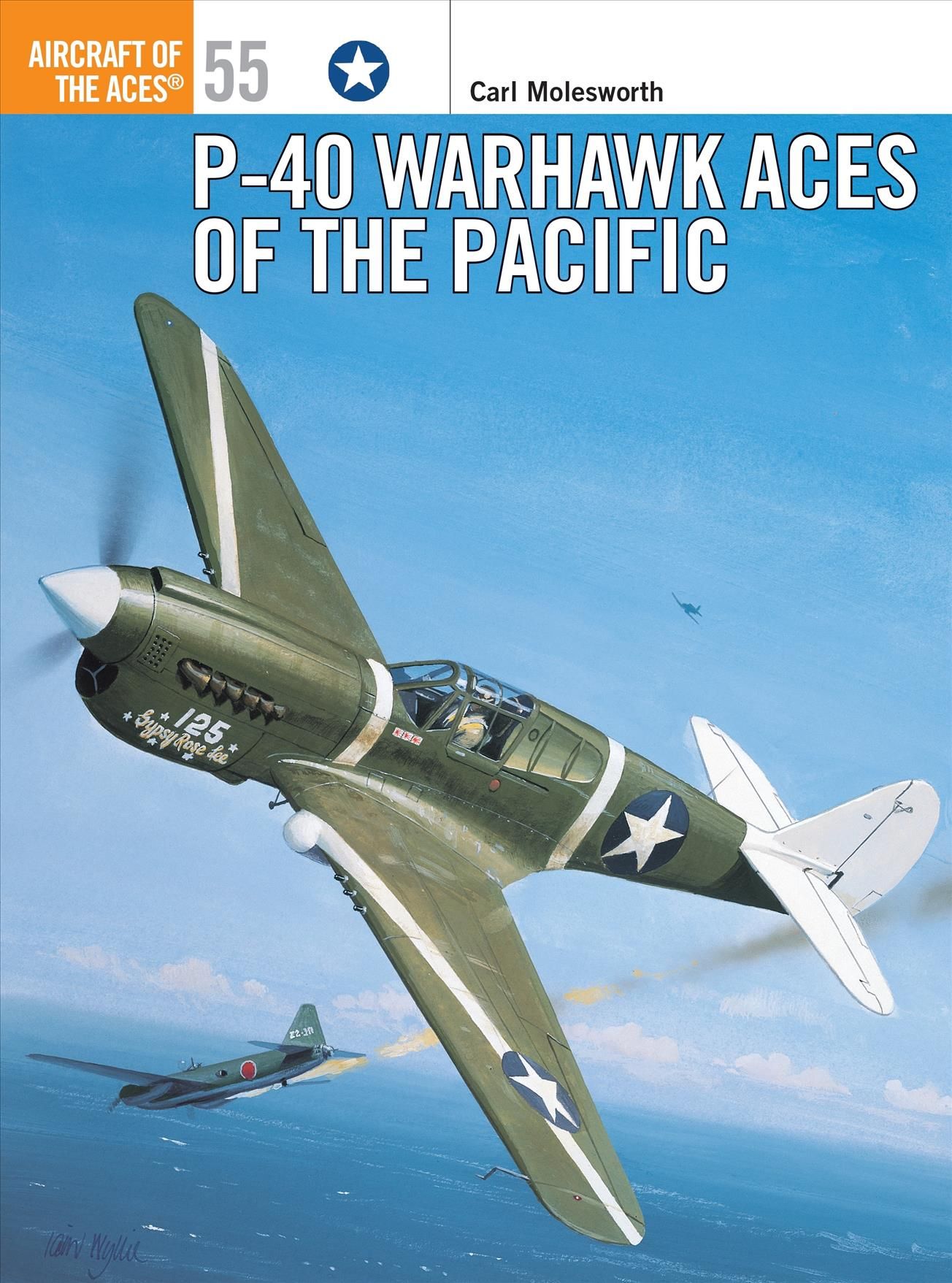 P-40 Warhawk Aces of the Pacific By Carl Molesworth 9781841765365