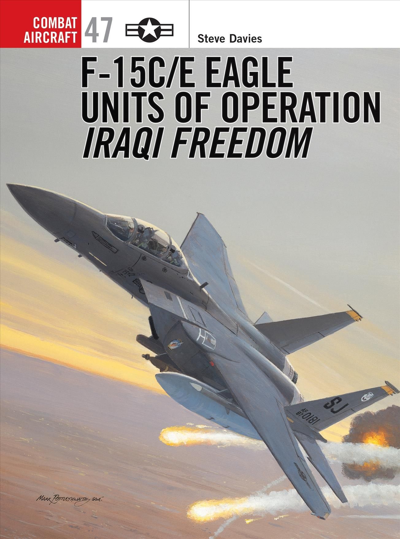 F-15C/E Eagle Units of Operation Iraqi Freedom By Steve Davies