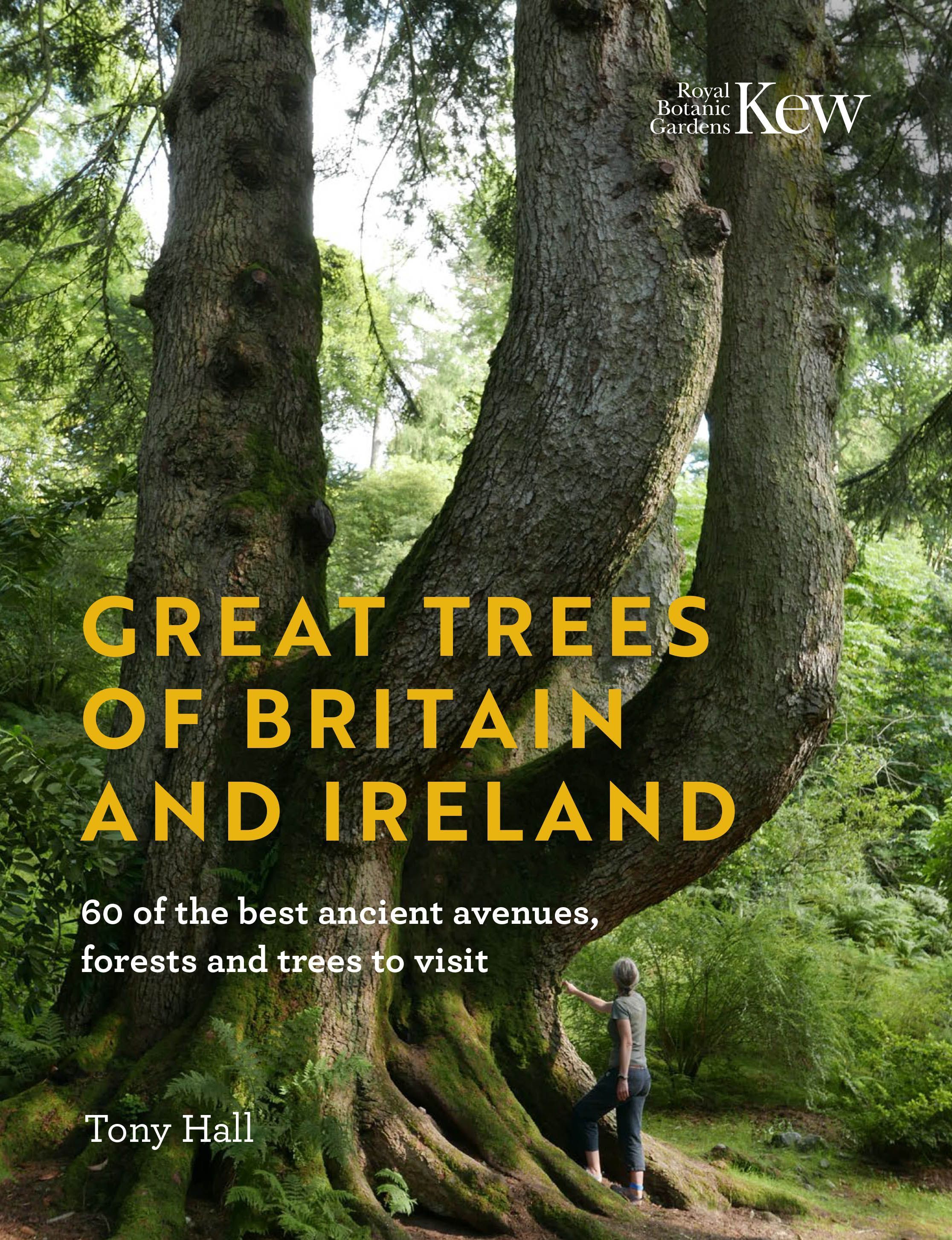 Great Trees of Britain and Ireland By Tony Hall 9781842467466