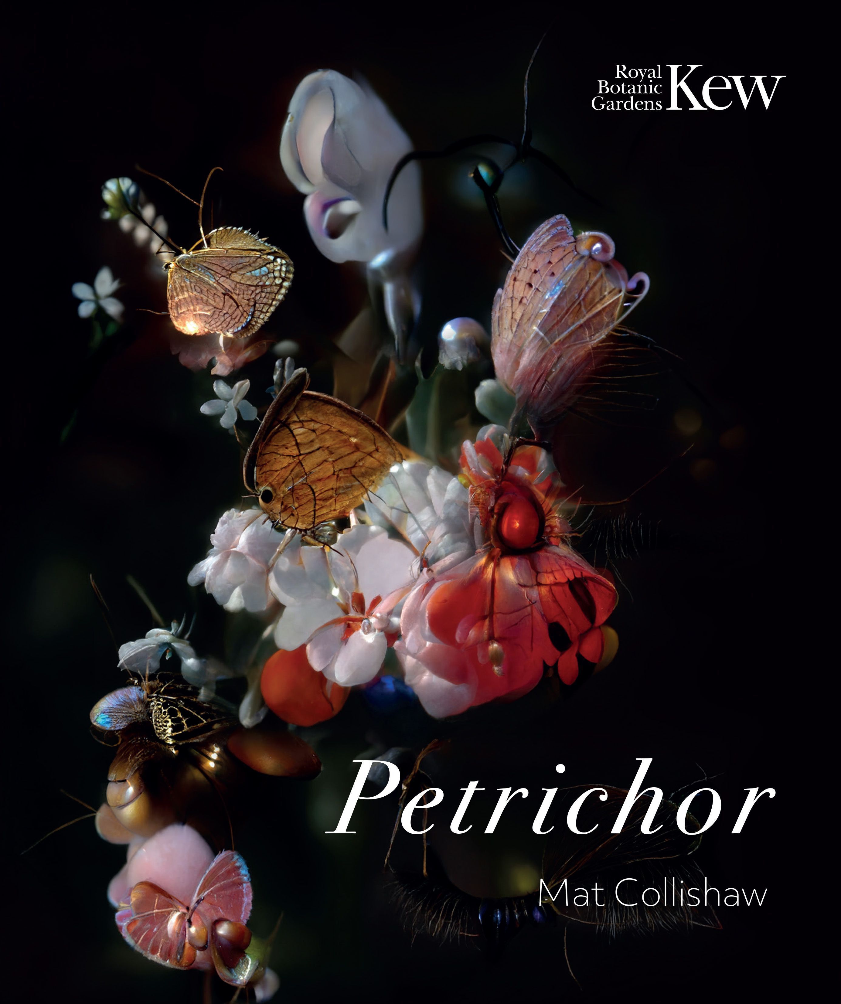 Petrichor By Mat Collishaw 9781842468005 (Paperback)
