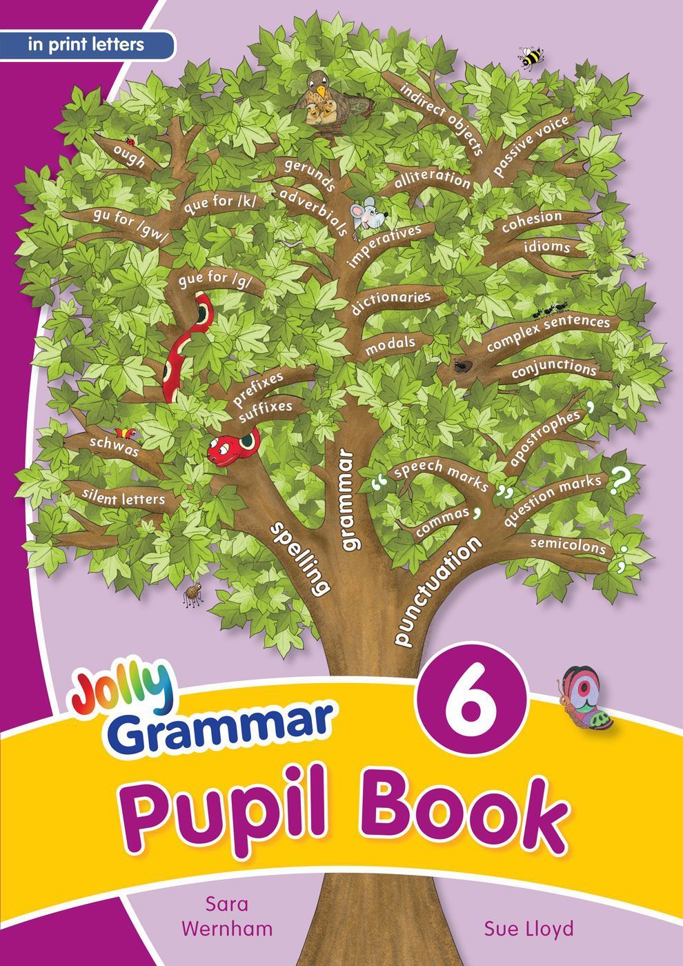 Grammar 6 Pupil Book By Sara Wernham 9781844145157 (Paperback)