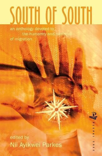 South of South By Nii Ayikwei Parkes 9781845231545 (Paperback)