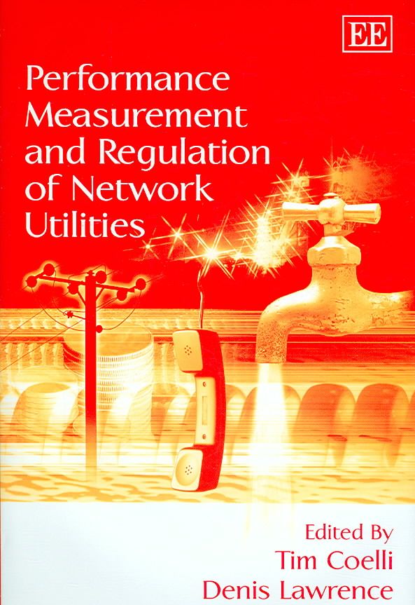 Performance Measurement and Regulation of Network Utilities (Hardback)