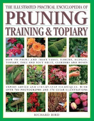 Pruning, Training & Topiary, Illustrated Practical Encyclopedia of (Back in Stock)