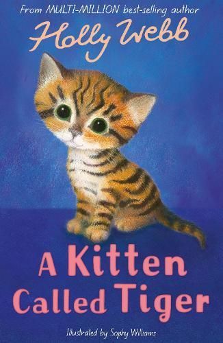A Kitten Called Tiger 9781847157881 (Paperback)
