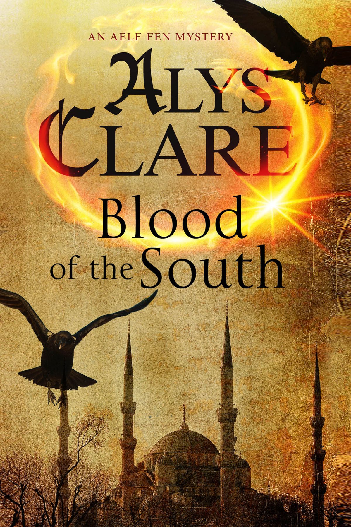 Blood of the South By Alys Clare 9781847515414 (Paperback)