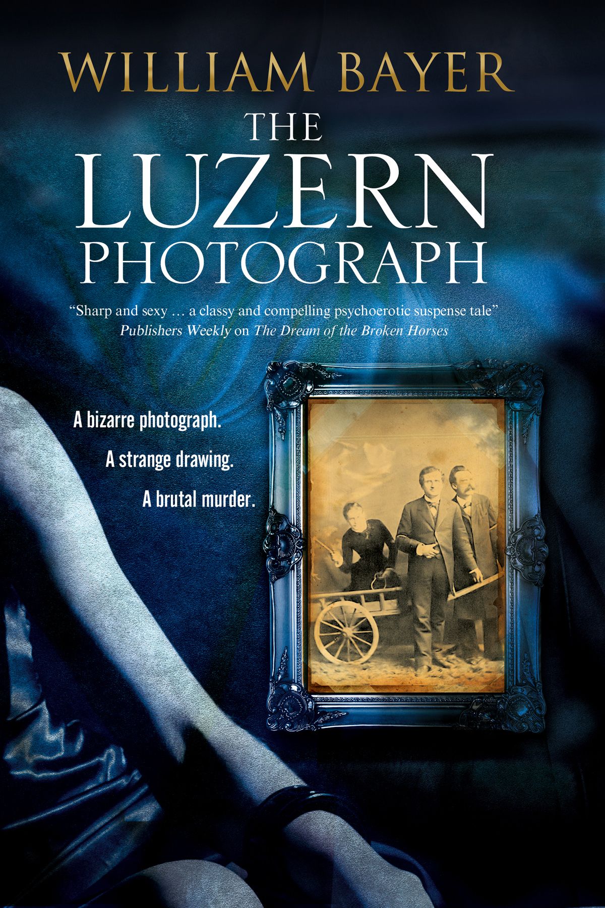 The Luzern Photograph By William Bayer 9781847516541 (Paperback)