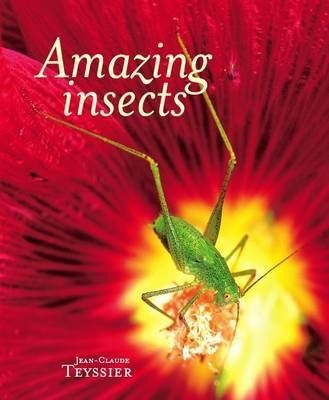 Amazing Insects By Jean-Claude Teyssier, Jean-Henri Fabre (Hardback)