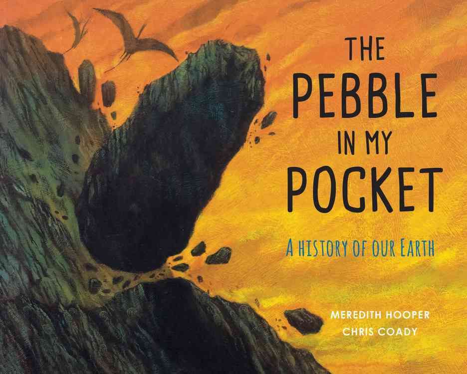 The Pebble in My Pocket 9781847807687 (Paperback)