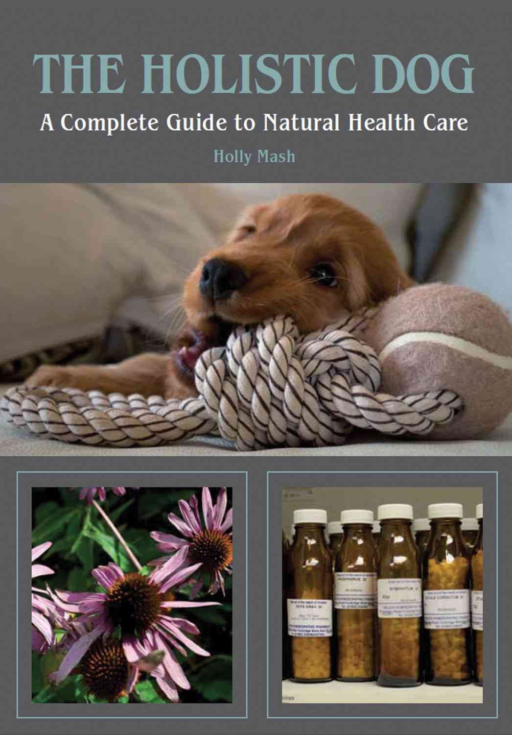 The Holistic Dog By Holly Mash 9781847972675 (Paperback)
