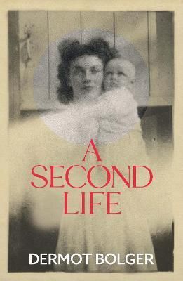 A Second Life By Dermot Bolger 9781848408524 (Paperback)