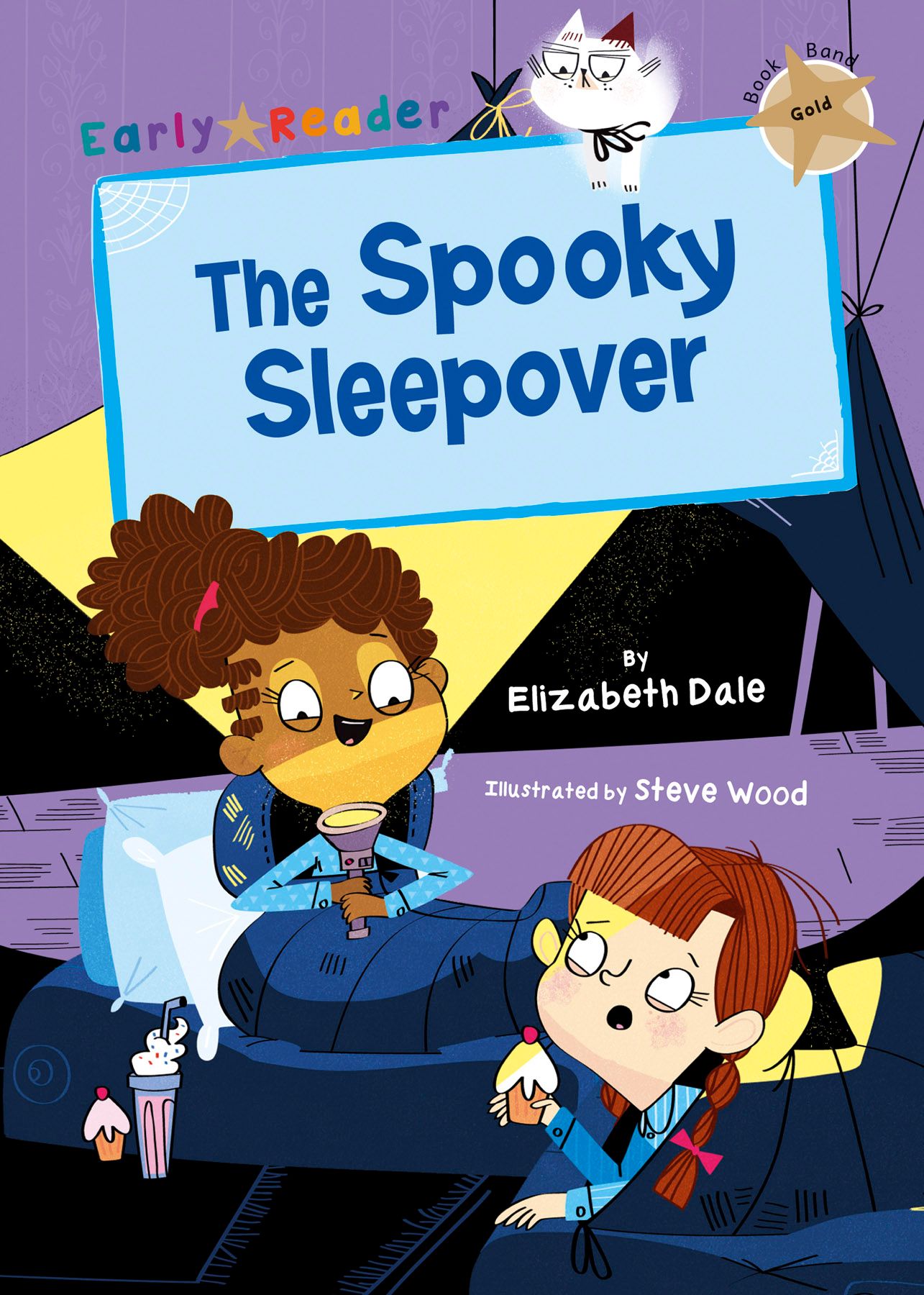 The Spooky Sleepover By Elizabeth Dale 9781848864184 (Paperback)