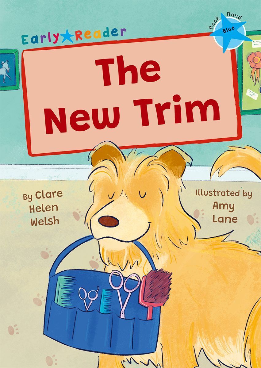 The New Trim By Clare Helen Welsh 9781848869356 (Paperback)