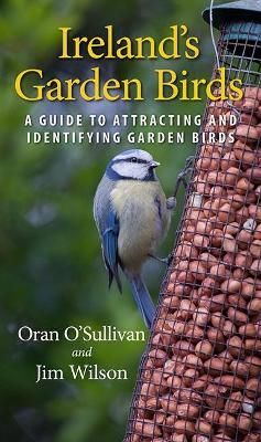Ireland's Garden Birds By Oran O'Sullivan 9781848893030 (Paperback)