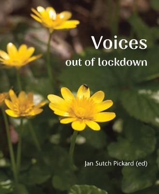 Voices Out of Lockdown By Jan Sutch Pickard (editor) 9781849527330