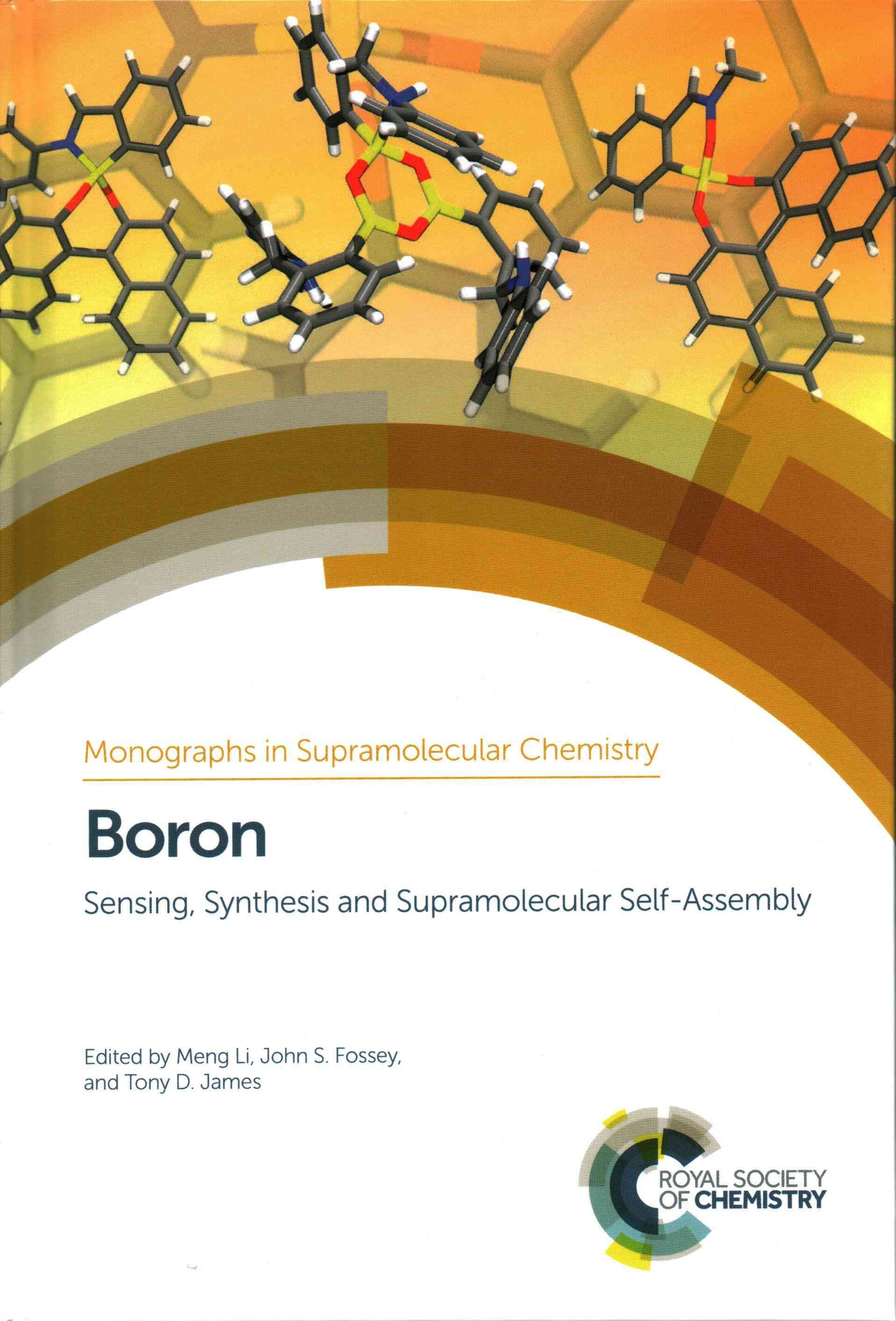 Boron 9781849736749 (Hardback)