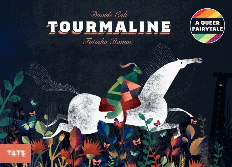 Tourmaline By Davide Calì 9781849768702 (Hardback)