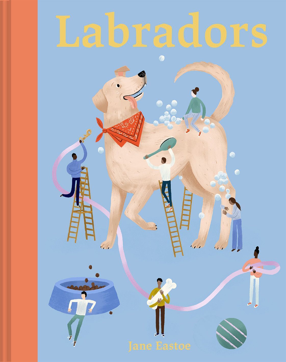 Labradors By Jane Eastoe 9781849947930 (Hardback)