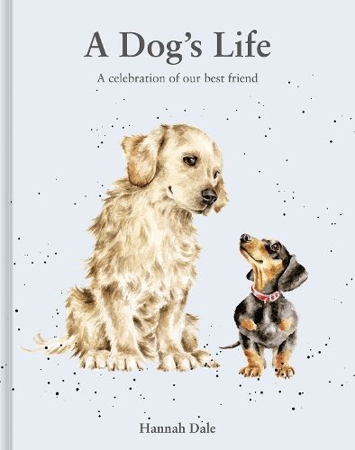 A Dog's Life By Hannah Dale 9781849949255 (Hardback)