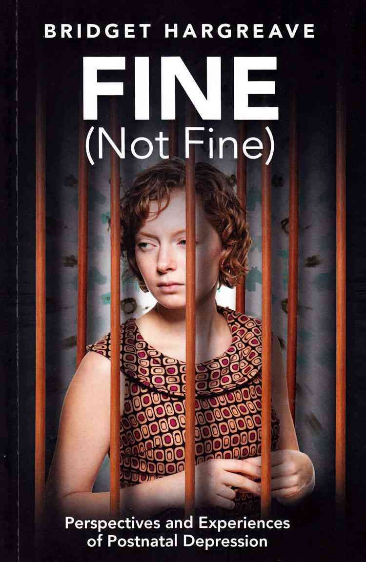 Fine (Not Fine) By Bridget Hargreave 9781853432200 (Paperback)