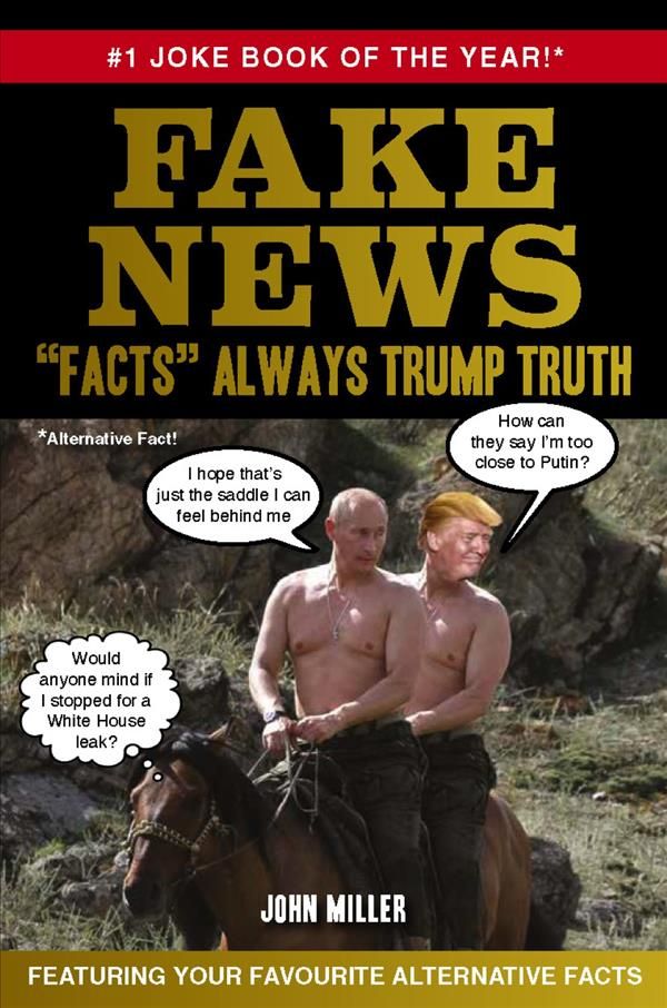 Fake News By Mike Haskins 9781853759994 (Hardback)