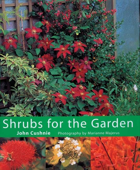 Shrubs for the Garden By John Cushnie 9781856265027