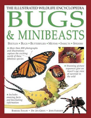 Bugs & Minibeasts 9781861474223 (Paperback)
