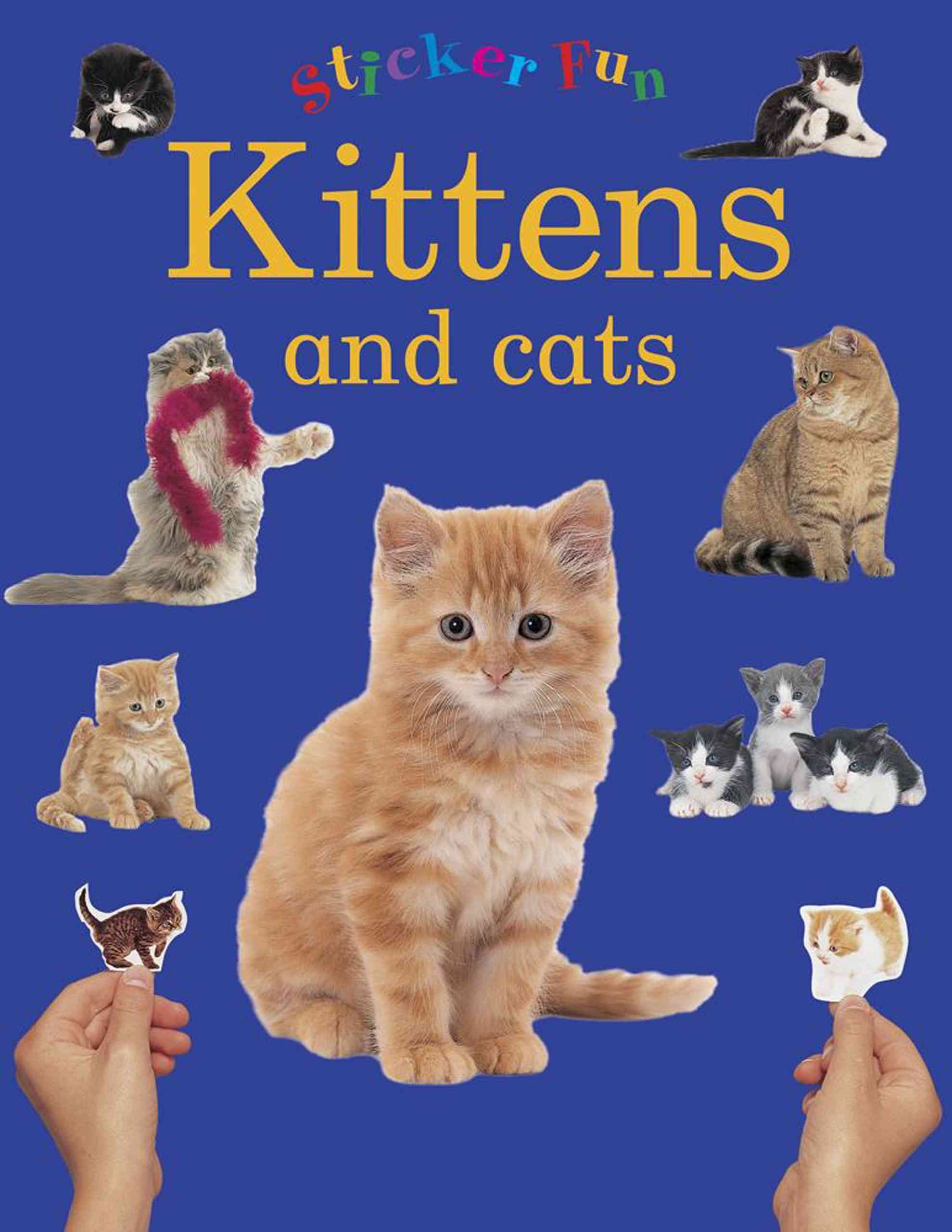 Sticker Fun: Kittens and Cats By Armadillo Press 9781861474308