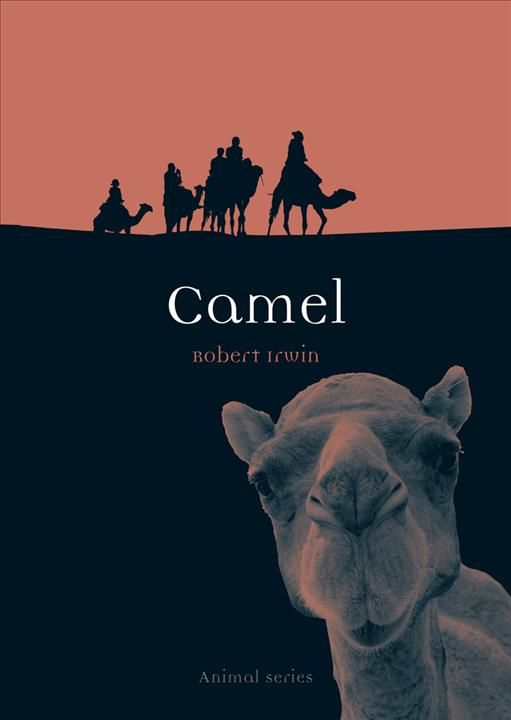 Camel By Robert Irwin 9781861896490 (Paperback)