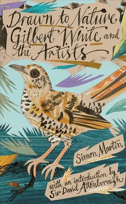 Drawn to Nature By Simon Martin 9781869827755 (Hardback)