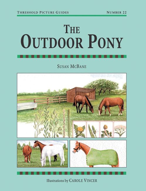 The Outdoor Pony By Susan McBane 9781872082301 (Paperback)