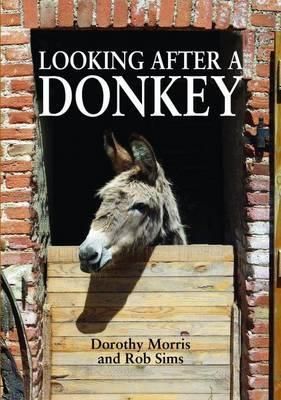 Looking After a Donkey By Dorothy Morris, Rob Sims 9781873580929