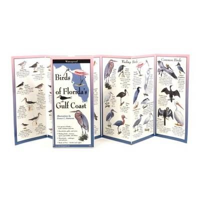 Birds of Florida's Gulf Coast By Ernest Simmons 9781893770126 (Poster)