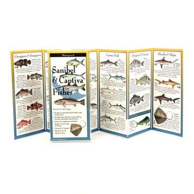 Sanibel & Captiva Fishes By Bob Shipp (texts) 9781893770164 (Poster)