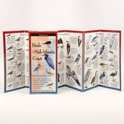Birds of the Mid-Atlantic Coast By Ernest Simmons 9781893770430