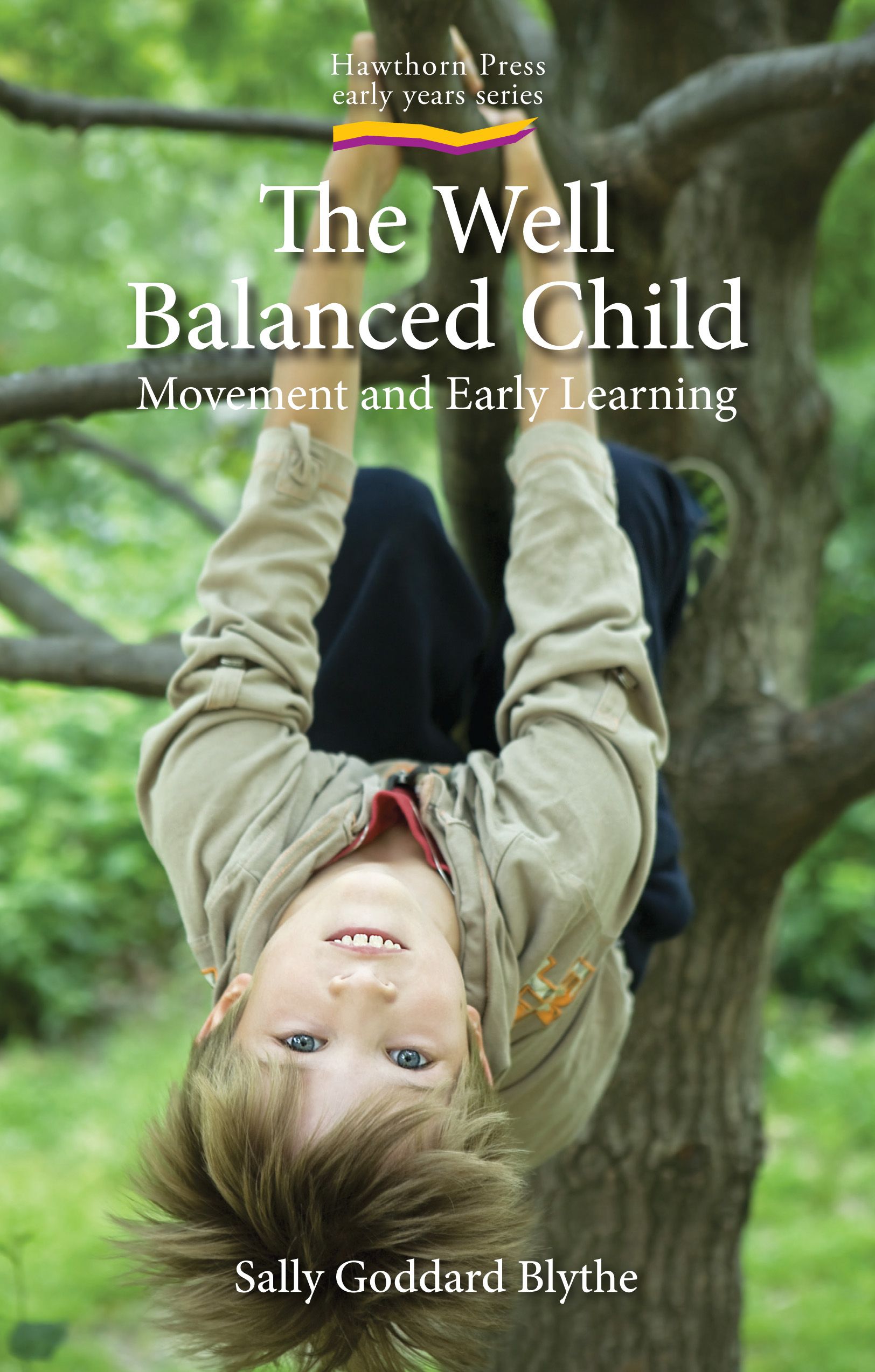 Well Balanced Child, The By Sally Goddard Blythe 9781903458631