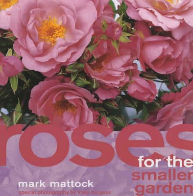 Roses for the Smaller Garden By Mark Mattock, Linda Burgess (Hardback)