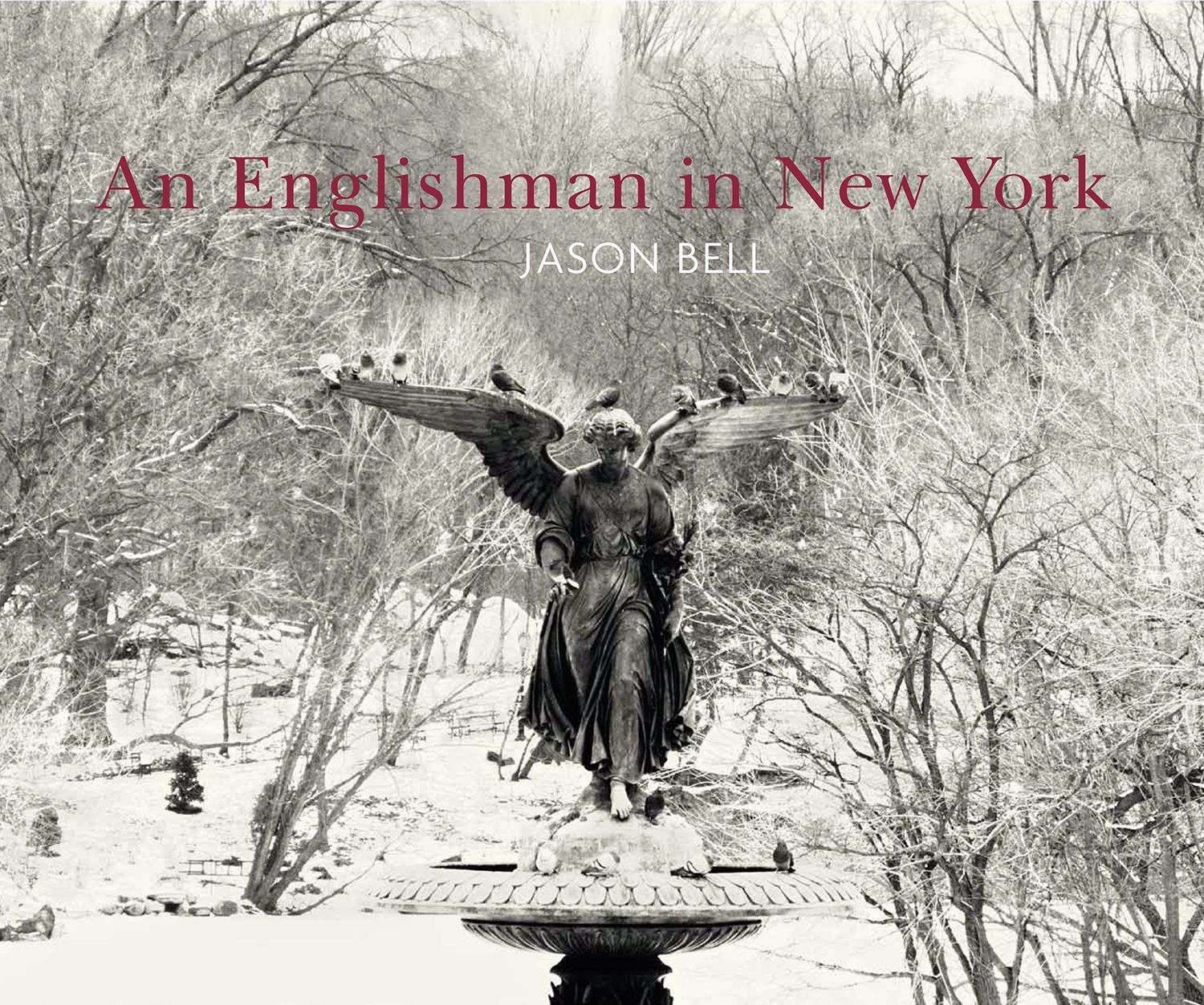 An Englishman in New York By Jason Bell 9781904587972 (Hardback)