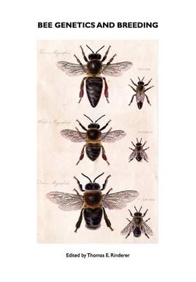 Bee Genetics and Breeding By Thomas E. Rinderer 9781904846291