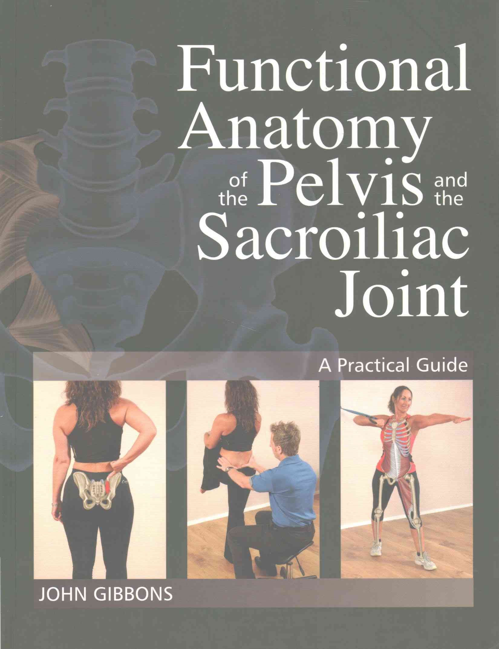 Functional Anatomy of the Pelvis and the Sacroiliac Joint (Paperback)