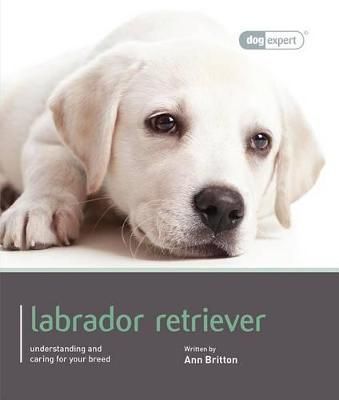 Labrador Retriever By Ann Britton 9781906305581 (Paperback)